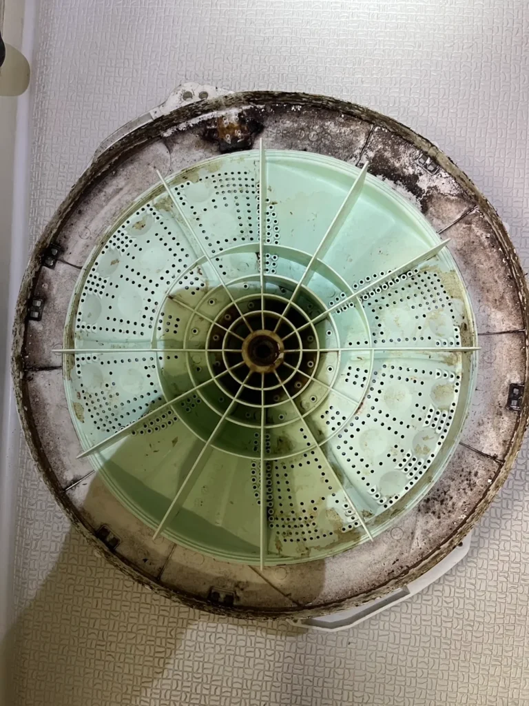 洗濯槽の清掃前