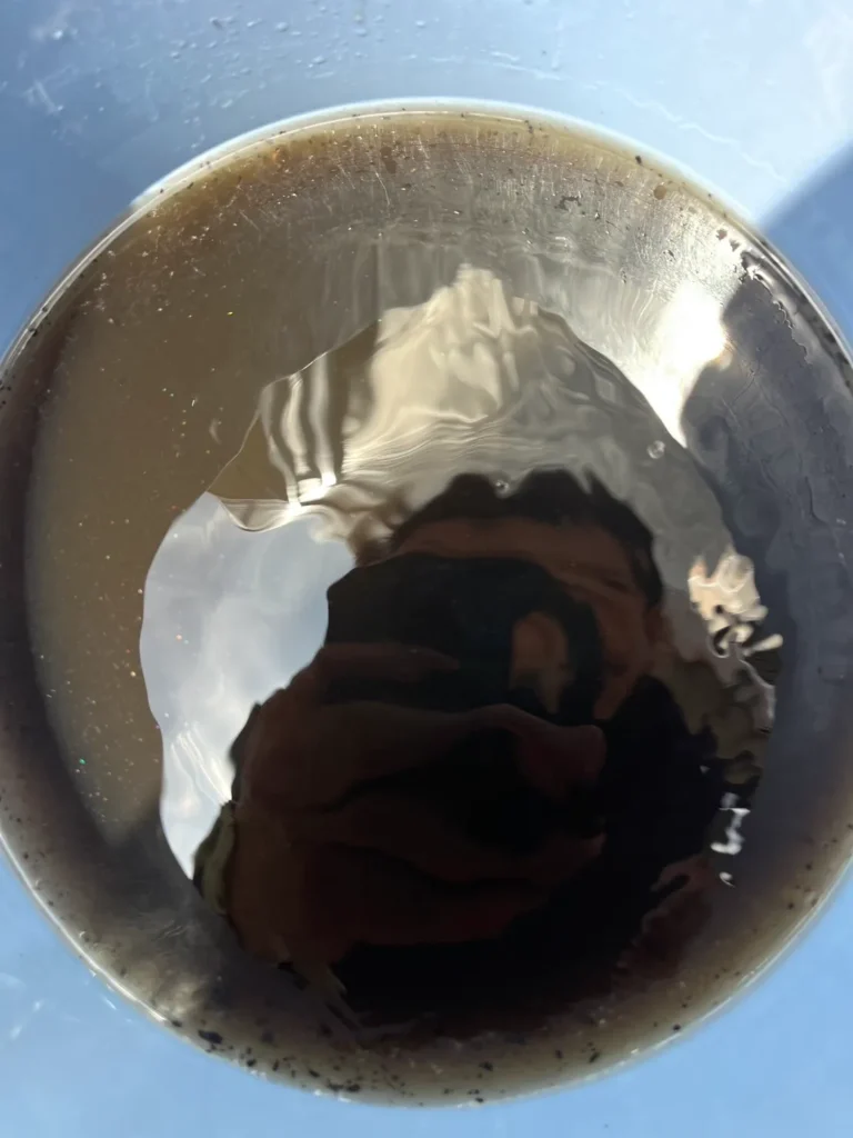 汚れた水